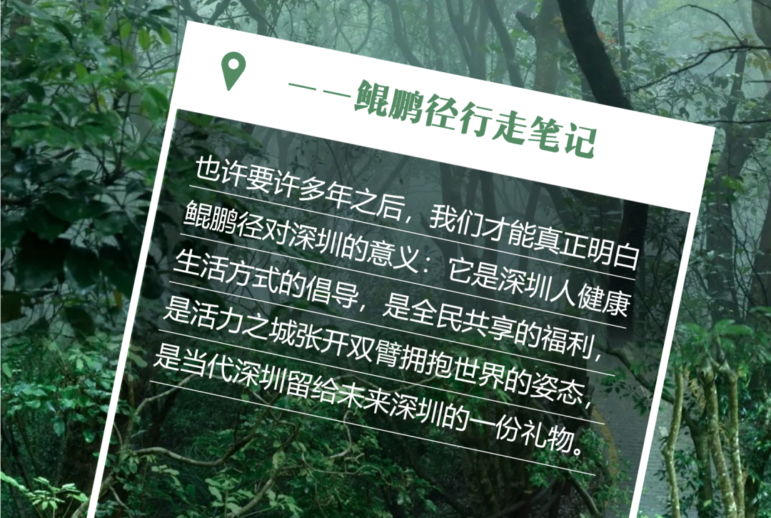 南兆旭：深圳有条鲲鹏径