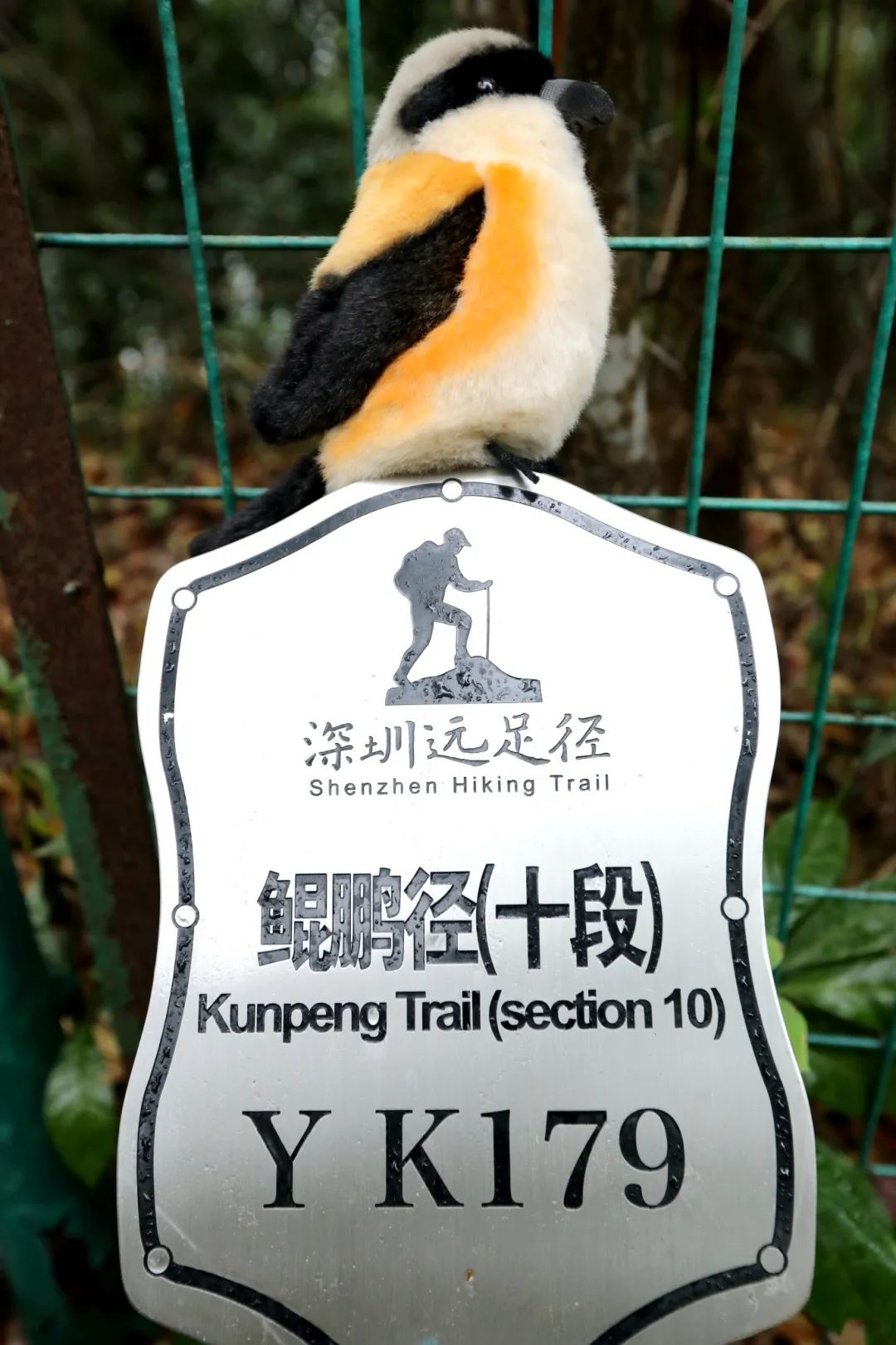 南兆旭：深圳有条鲲鹏径