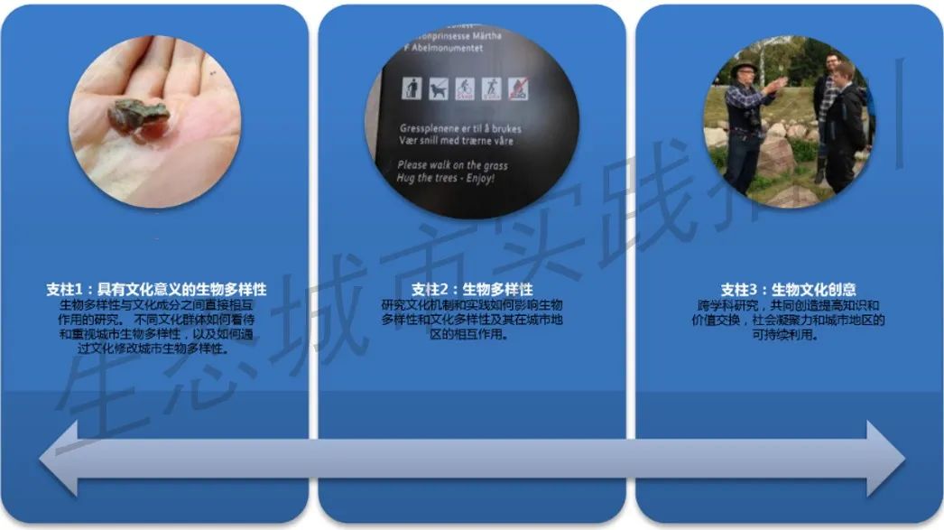 全球汇 · 专栏 | 生态城市（20）促进绿色经济的绿色基础设施