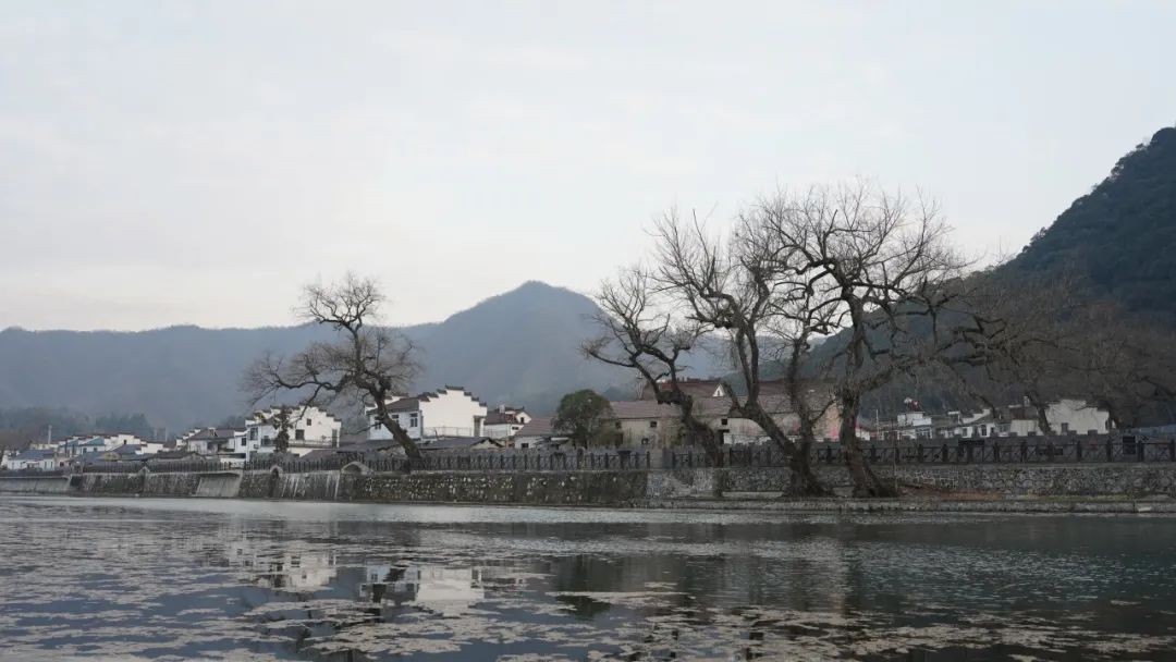 春节征集|刘鹏飞、许鑫磊:美丽中国的规划故事——基于文化自信的乡村蝶变 春节征集|刘鹏飞、许鑫磊:美丽中国的规划故事——基于文化自信的乡村蝶变