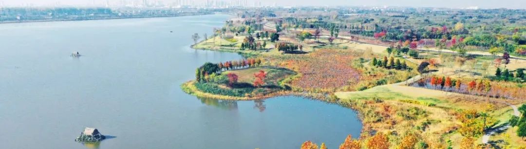 中部地区崛起座谈会再次召开，习近平作出哪些部署？我们如何响应？