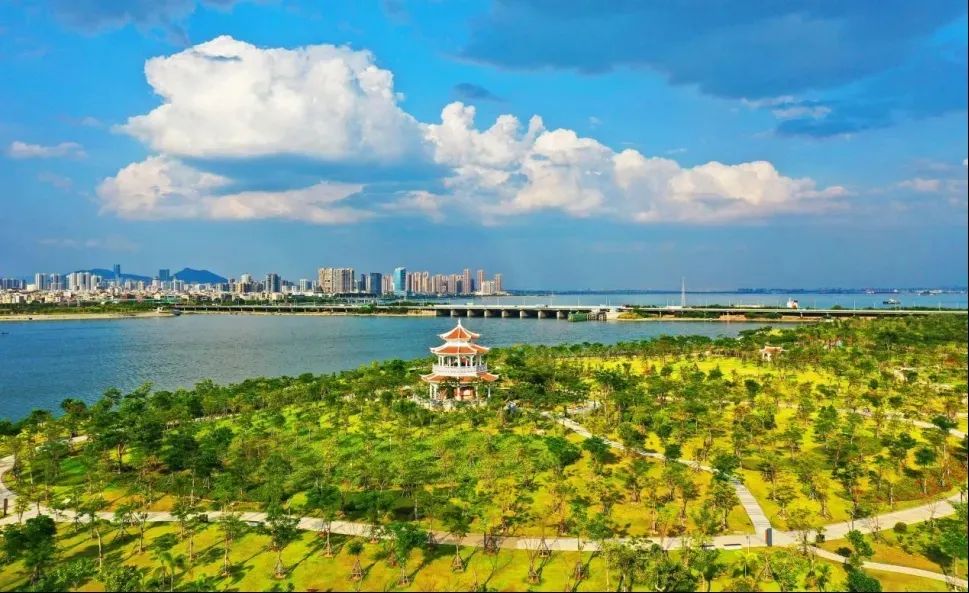 学习“厦门实践”生态治理的七条经验
