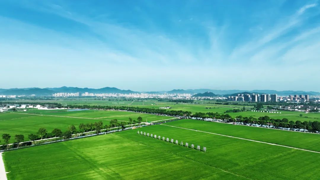 作为全域国土空间综合整治全国唯一试点城市,浙江宁波做了什么? 作为全域国土空间综合整治全国唯一试点城市,浙江宁波做了什么?