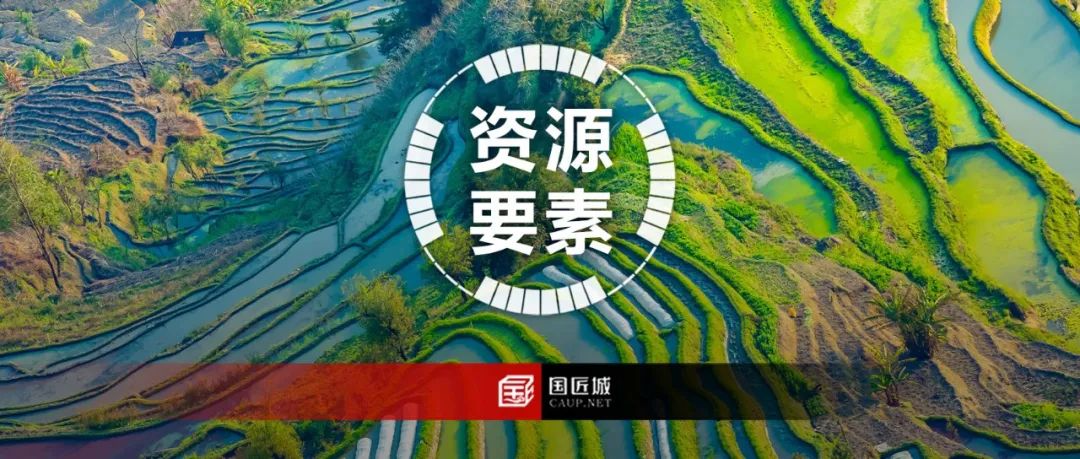 浙江省:优化用地审查审批,取消标准农田占补平衡制度,在用地审批中不再审查标准农田占补方案 浙江省:优化用地审查审批,取消标准农田占补平衡制度,在用地审批中不再审查标准农田占补方案