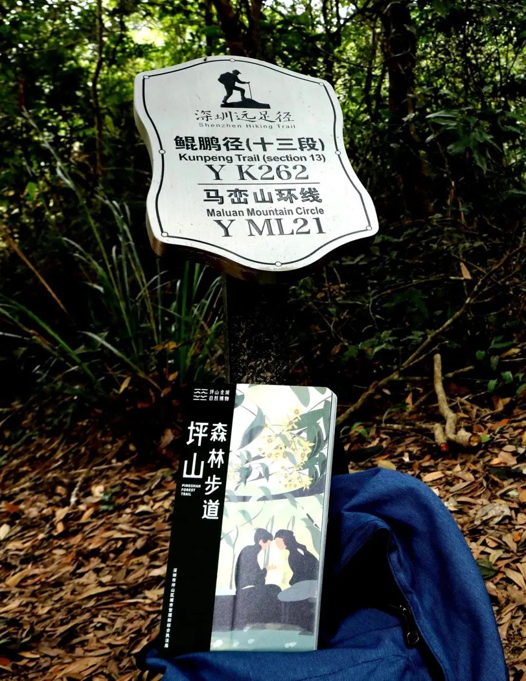 南兆旭：深圳有条鲲鹏径