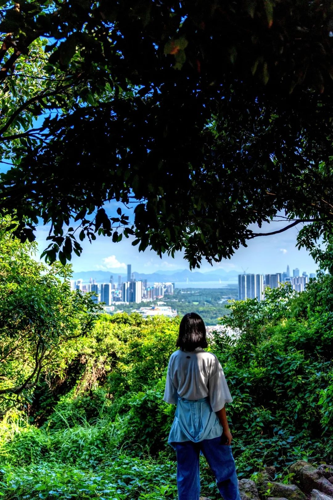 南兆旭：深圳有条鲲鹏径