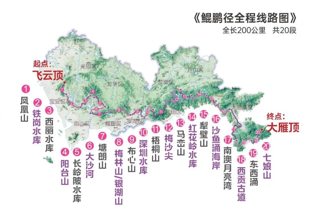 南兆旭:深圳有条鲲鹏径 南兆旭:深圳有条鲲鹏径