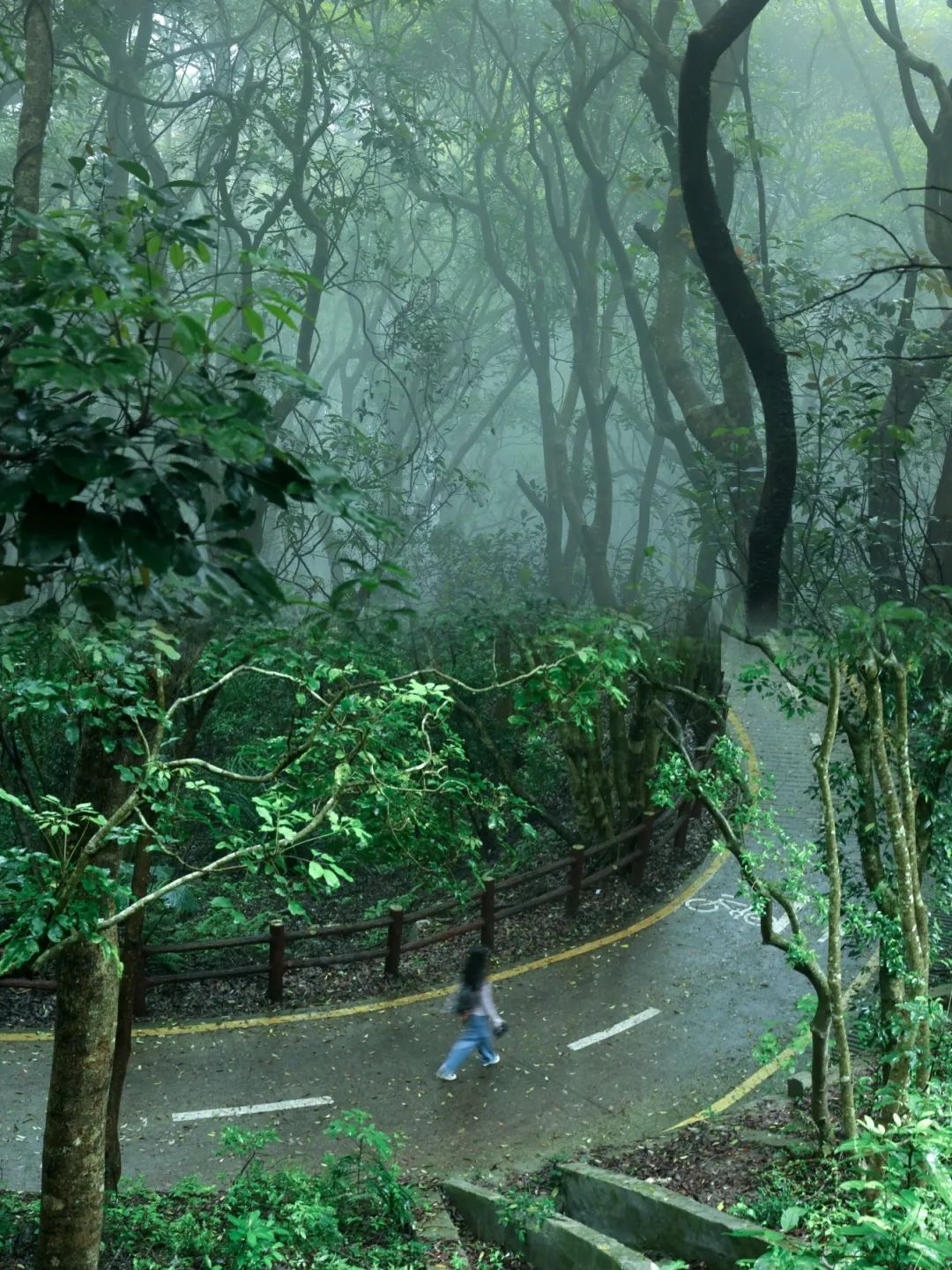 南兆旭：深圳有条鲲鹏径
