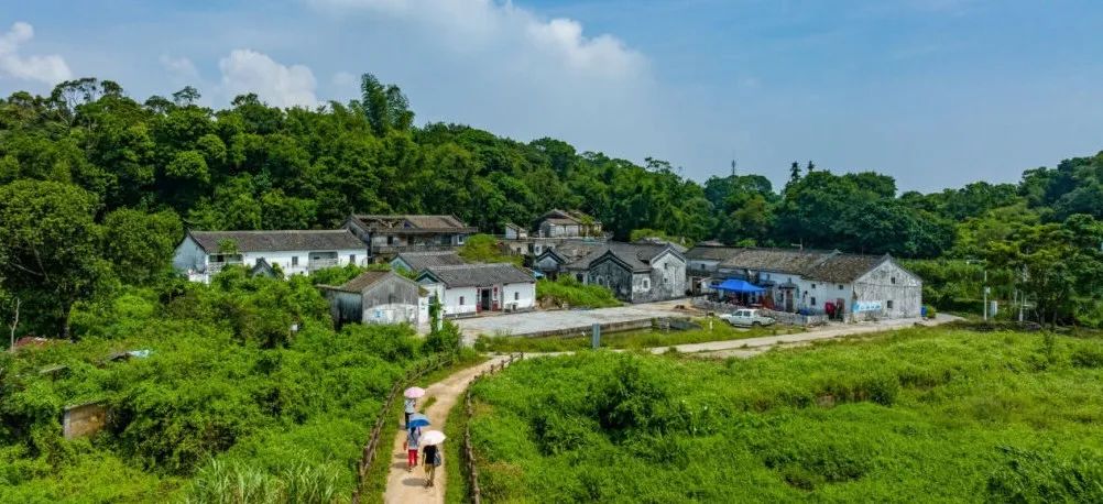 南兆旭：深圳有条鲲鹏径