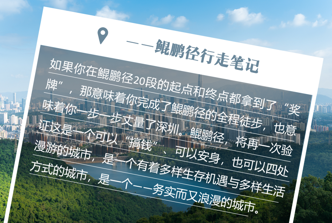 南兆旭：深圳有条鲲鹏径
