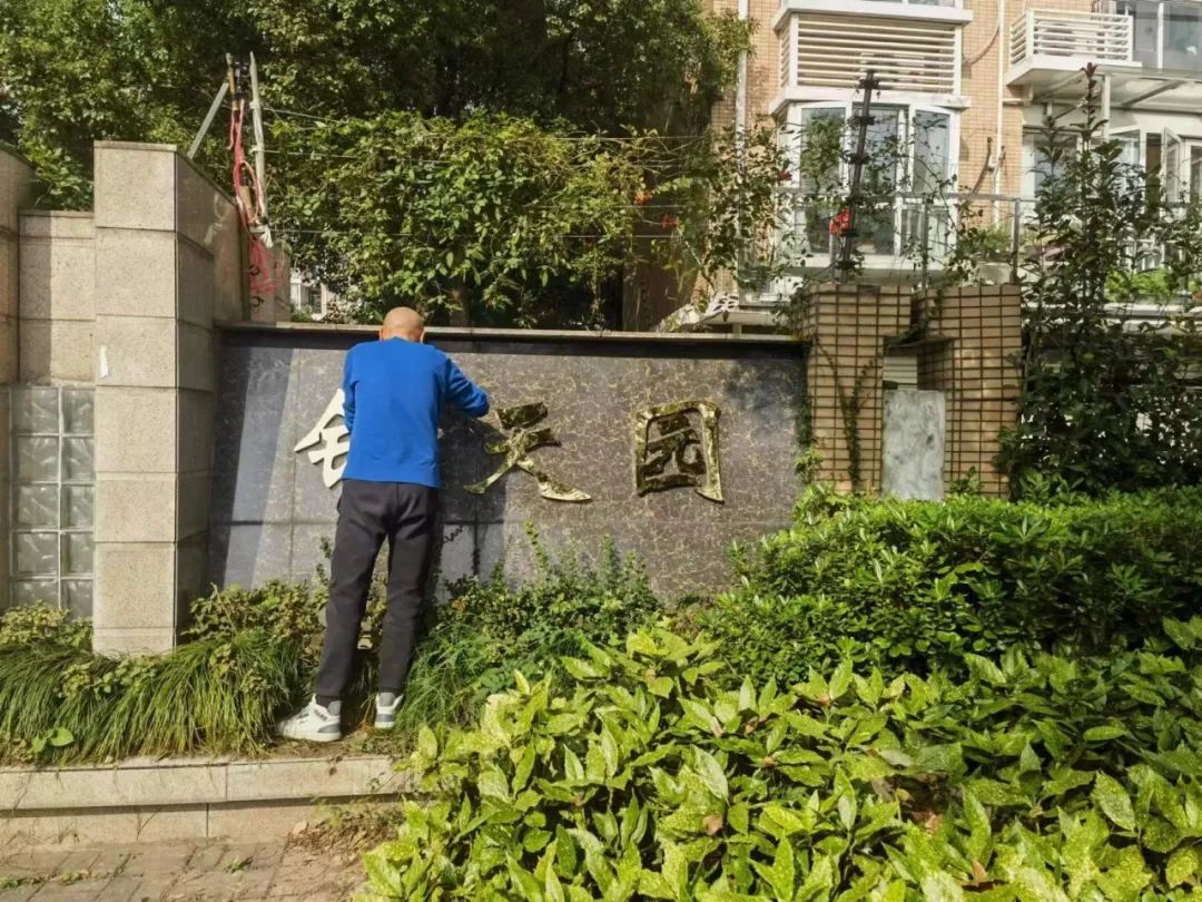 广规匠红|党建引领缔造“健康社区疗愈花园”,上海分院党支部这么做 广规匠红|党建引领缔造“健康社区疗愈花园”,上海分院党支部这么做