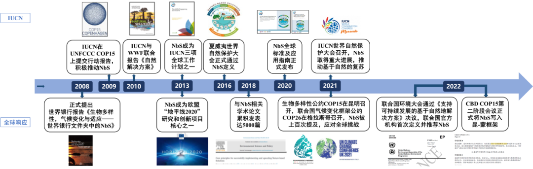 世界气象日 | 余兆武:基于自然的城市气候与健康韧性解决方案 世界气象日 | 余兆武:基于自然的城市气候与健康韧性解决方案