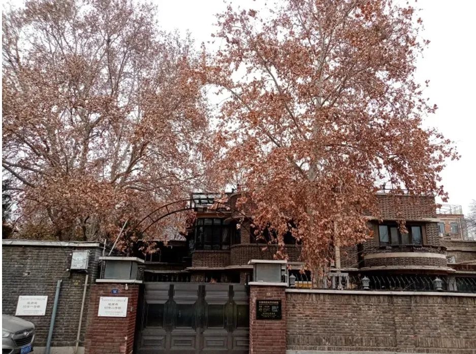 春节征集丨赵栗羽:美丽中国里的规划故事——父亲的芙蓉树 春节征集丨赵栗羽:美丽中国里的规划故事——父亲的芙蓉树