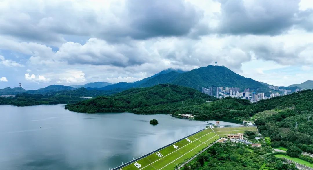 南兆旭：深圳有条鲲鹏径