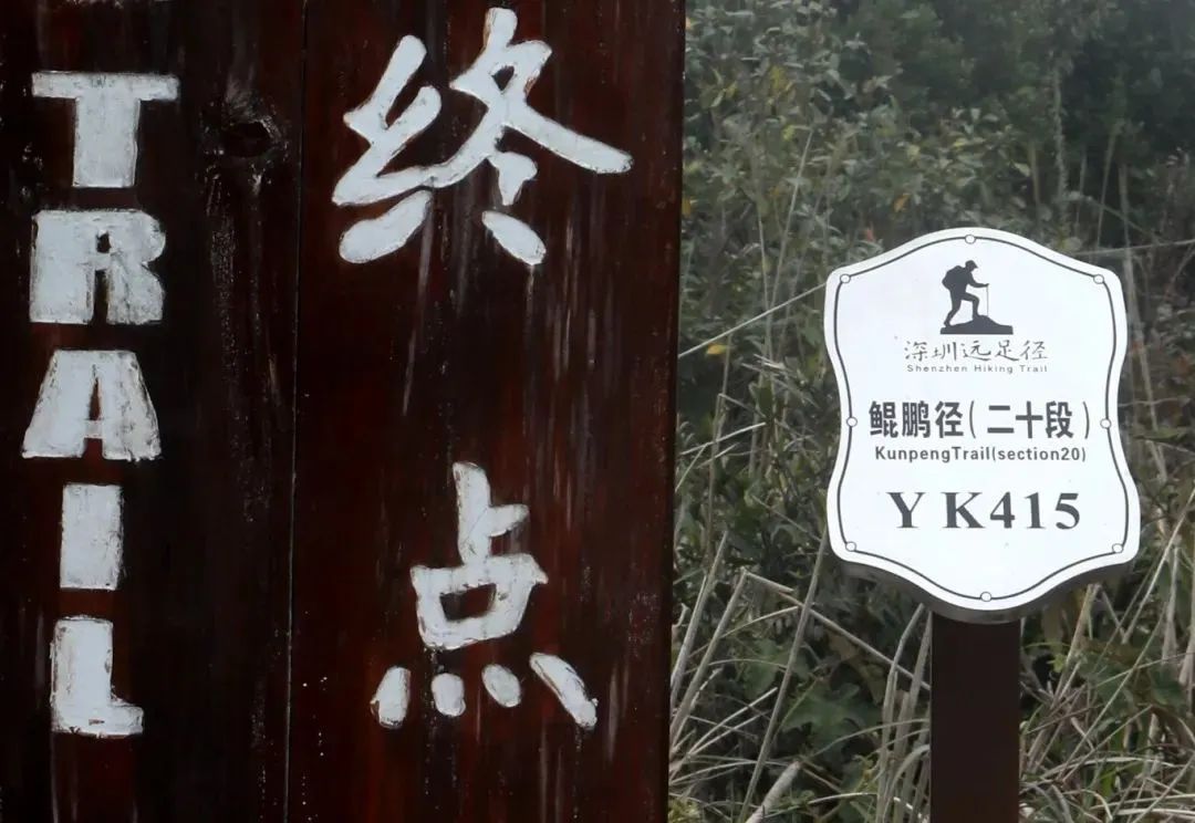 南兆旭:深圳有条鲲鹏径 南兆旭:深圳有条鲲鹏径