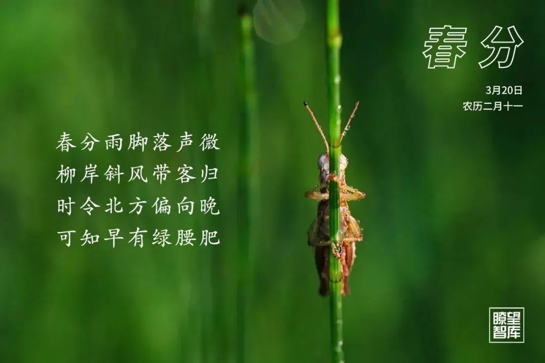 科普 | 今日春分——春色从此分，春意从此浓