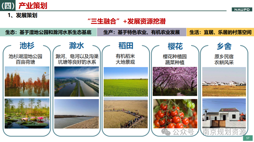 村庄规划 | 12条亮点 谱写乡村振兴“新画卷”