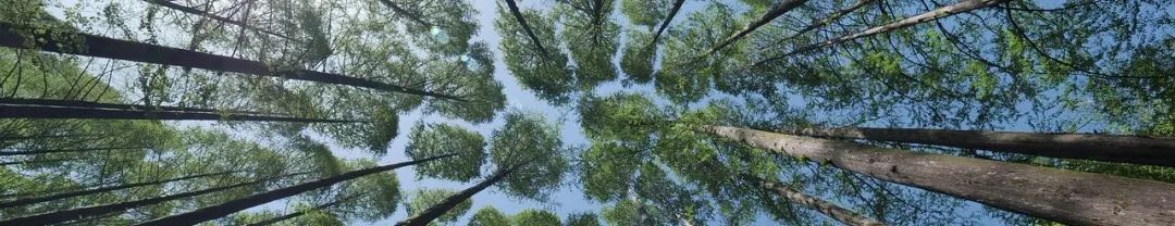 科普 | π日说π:π能不能被算尽? 科普 | π日说π:π能不能被算尽?