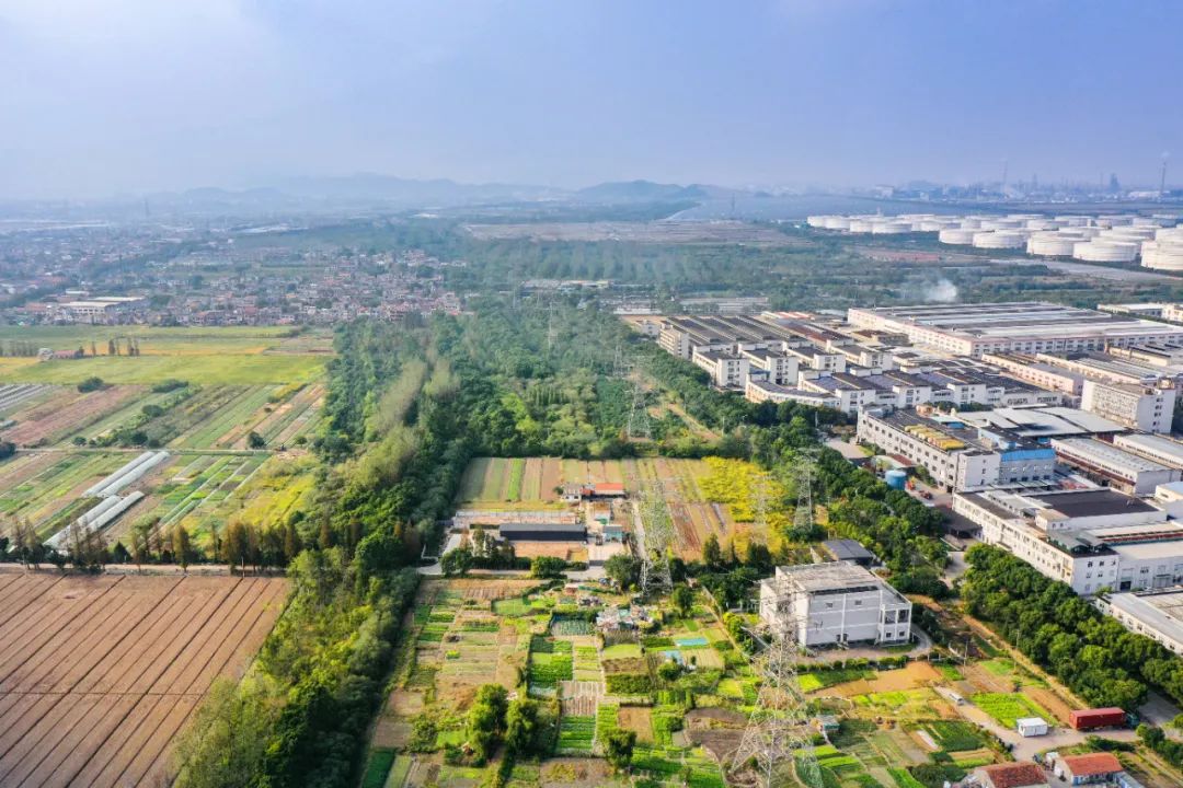 作为全域国土空间综合整治全国唯一试点城市,浙江宁波做了什么? 作为全域国土空间综合整治全国唯一试点城市,浙江宁波做了什么?