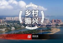 海南省:发布《海南省乡村振兴促进规定》,实行省负总责,市县、乡镇抓落实的乡村振兴工作机制-规划问道
