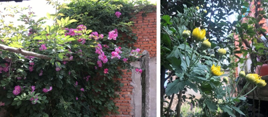 春节征集 | 农村老年人生活的正向场域——微观视角下的乡村观察 春节征集 | 农村老年人生活的正向场域——微观视角下的乡村观察