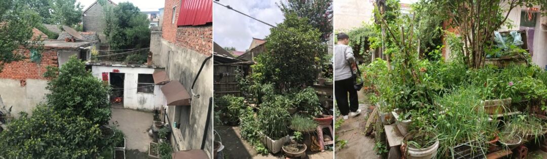春节征集 | 农村老年人生活的正向场域——微观视角下的乡村观察 春节征集 | 农村老年人生活的正向场域——微观视角下的乡村观察