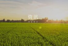 人民日报|如何改革完善耕地占补平衡制度-规划问道