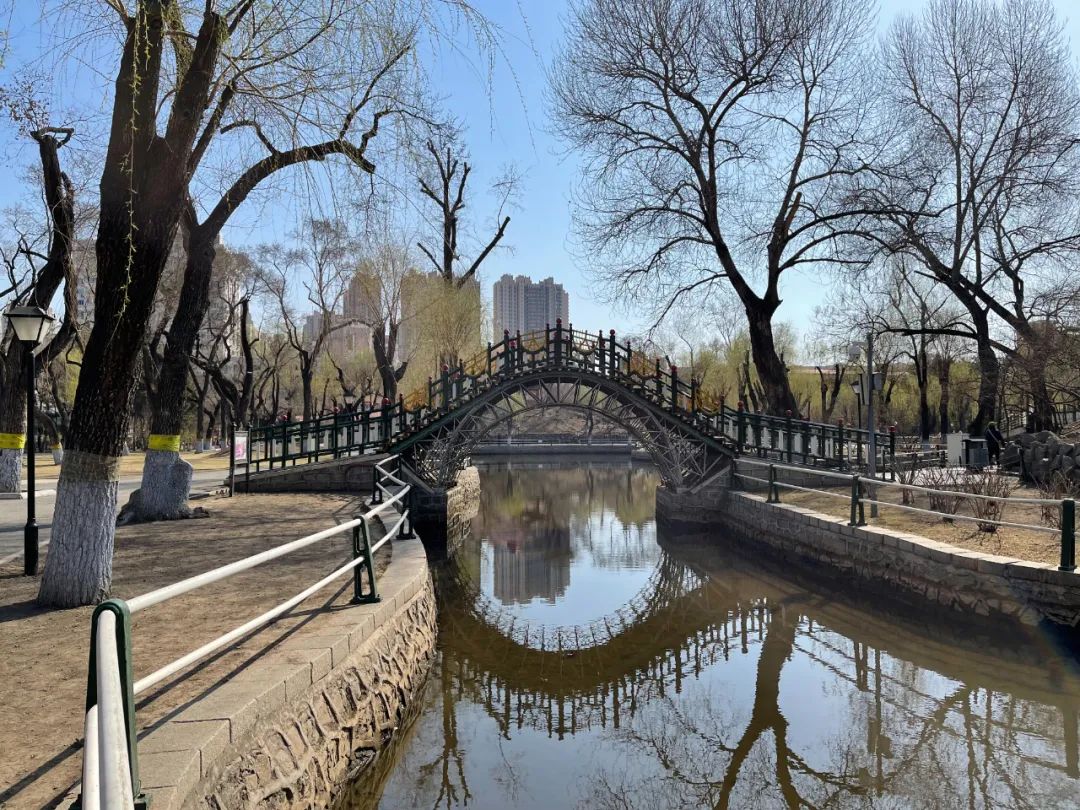 不一样的哈尔滨city walk | 文保青年推荐