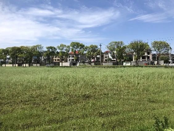 城建铸精英 青年攀高峰︱城建规划成长营组织全域低效用地再开发研学 城建铸精英 青年攀高峰︱城建规划成长营组织全域低效用地再开发研学