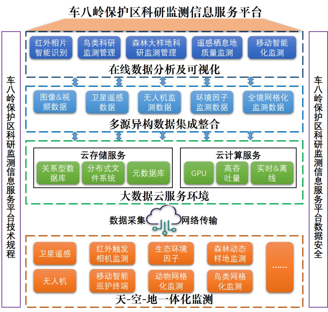 在车八岭，与野生动物静谧“相逢”