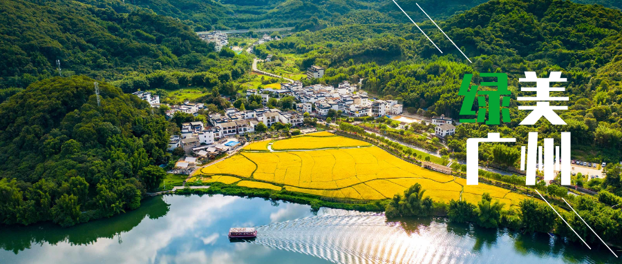 今天是国际爱鸟日,海珠湿地“鸟”解一下...... 今天是国际爱鸟日,海珠湿地“鸟”解一下......