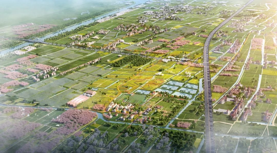 喜讯丨同济规划院组建乡村规划建设研究院 喜讯丨同济规划院组建乡村规划建设研究院