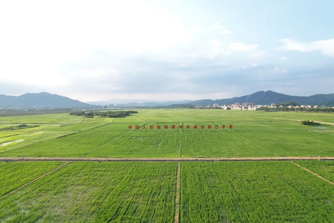 破解用地瓶颈，广州从化“秘钥”何在？