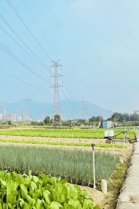 从自然向未来 ——深圳市坪山区公园城市建设规划 从自然向未来 ——深圳市坪山区公园城市建设规划