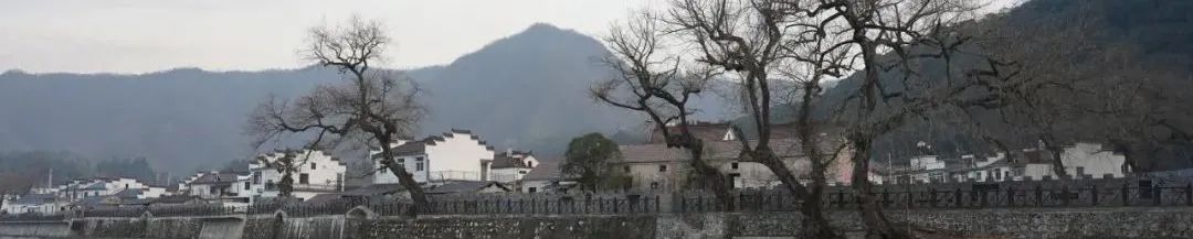 春节征集 | 农村老年人生活的正向场域——微观视角下的乡村观察 春节征集 | 农村老年人生活的正向场域——微观视角下的乡村观察