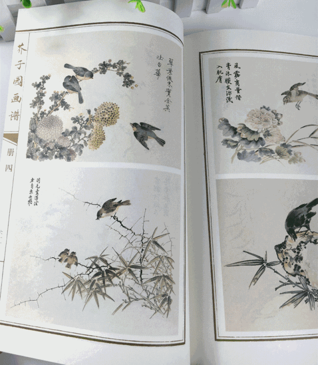 一部“芥子园”，阅尽三百年绘画史，美的惊叹！