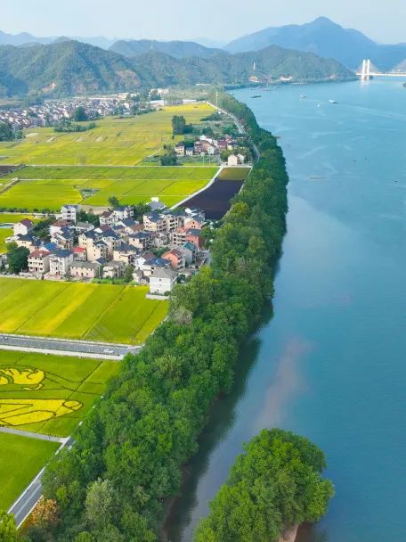 共“富”自然资源之约丨桐庐县横村镇等3乡镇以“飞地入园”助推共“桐”富裕
