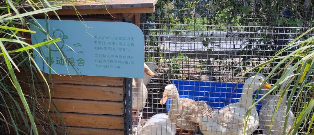 世界地球日 | 深圳梅沙“地球友好”实践 世界地球日 | 深圳梅沙“地球友好”实践