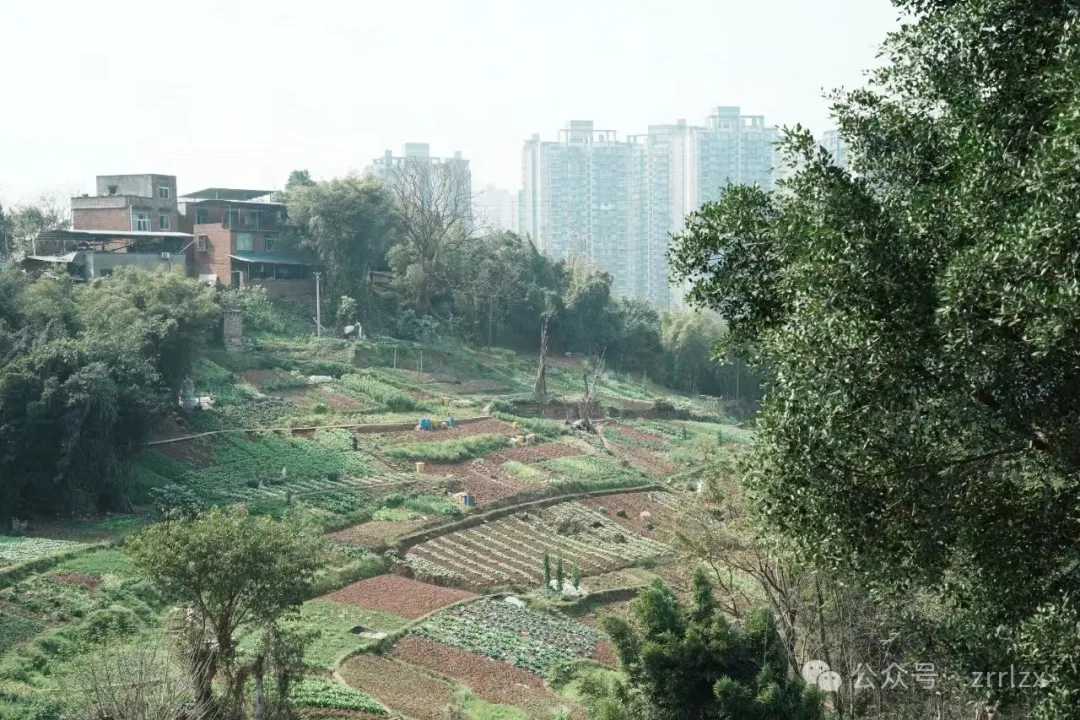 精彩回顾!第四届全国大学生国土空间规划设计竞赛启幕现场 精彩回顾!第四届全国大学生国土空间规划设计竞赛启幕现场
