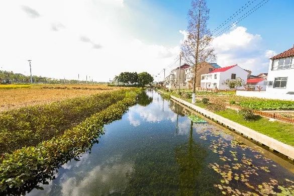 喜讯丨同济规划院组建乡村规划建设研究院 喜讯丨同济规划院组建乡村规划建设研究院
