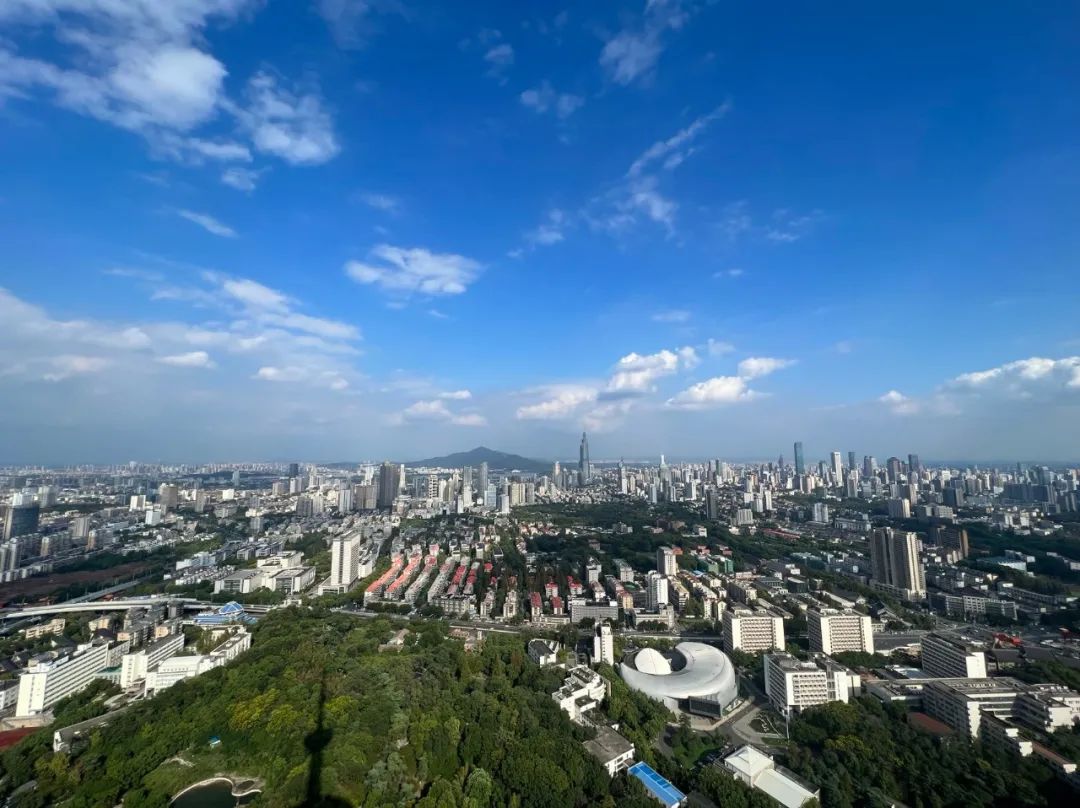 书记市长率队现场观摩推进 书记市长率队现场观摩推进