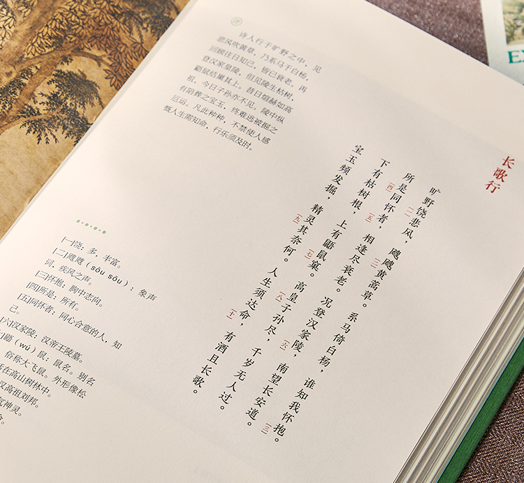 《长安三万里》中隐藏彩蛋，3000万人都没发现，颠覆你想象！