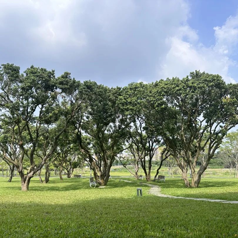 一镜到底:“规建营管”视角下的光明区公园专项规划 一镜到底:“规建营管”视角下的光明区公园专项规划