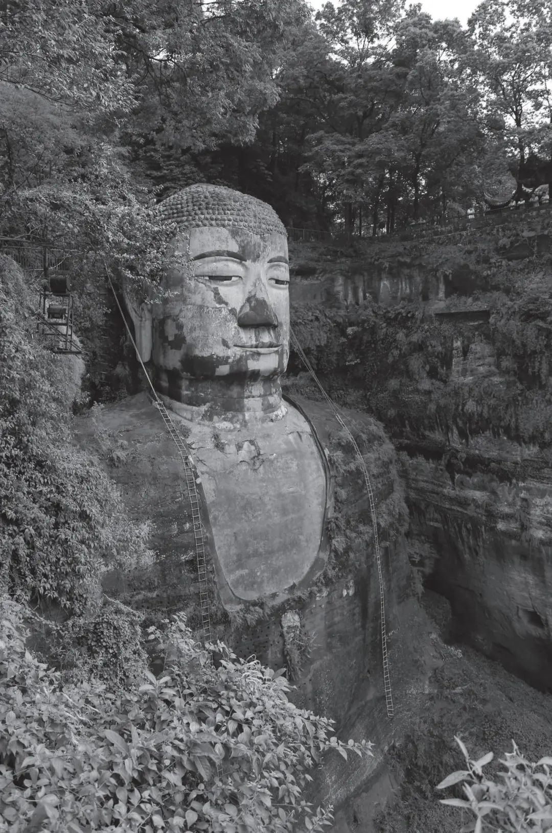 图书资讯丨石上众生：巴蜀石窟与古代供养人文化