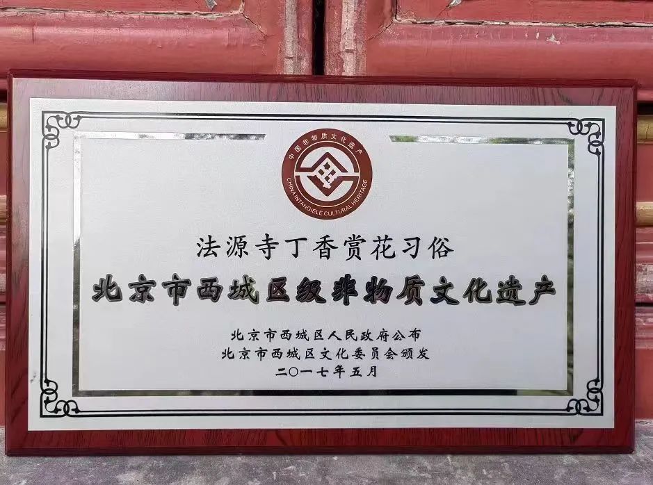 “赏丁香,共诗话”,法源寺丁香诗会已满百年 “赏丁香,共诗话”,法源寺丁香诗会已满百年