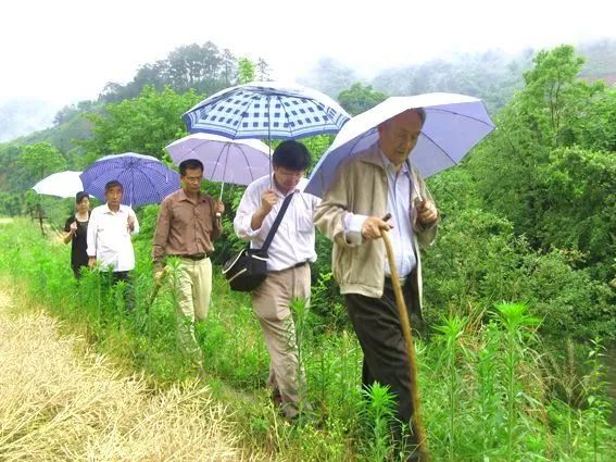 此身许国无多求，追记常印佛院士