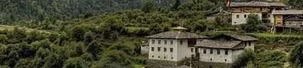 要闻 | 全国村庄规划工作现场会召开 要闻 | 全国村庄规划工作现场会召开