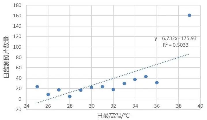 今天是国际爱鸟日,海珠湿地“鸟”解一下...... 今天是国际爱鸟日,海珠湿地“鸟”解一下......