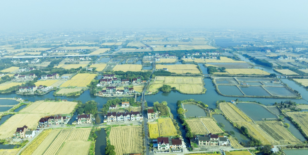 村庄规划 | 上海：从“挖掘识别”到“引导落实”——乡村空间设计全过程融合规划建设的探索实践