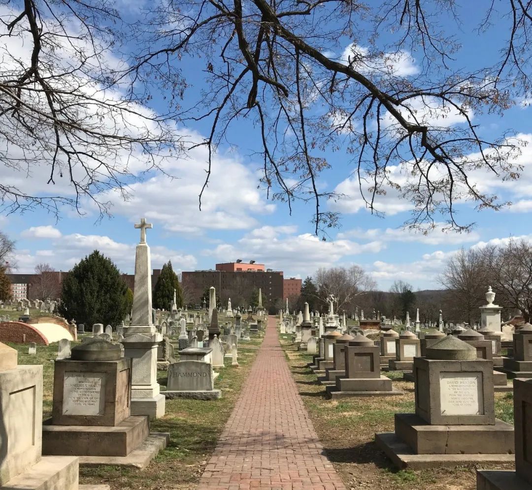 向死而生,未来的墓园会变成怎样? 向死而生,未来的墓园会变成怎样?
